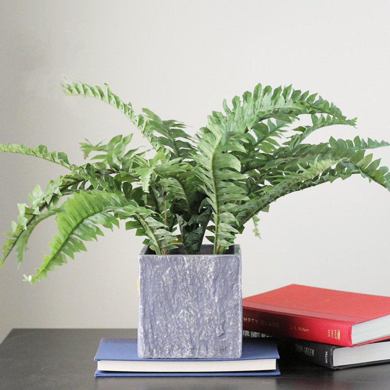 Wrought Studio Artificial Boston Fern in Pot & Reviews Wayfair